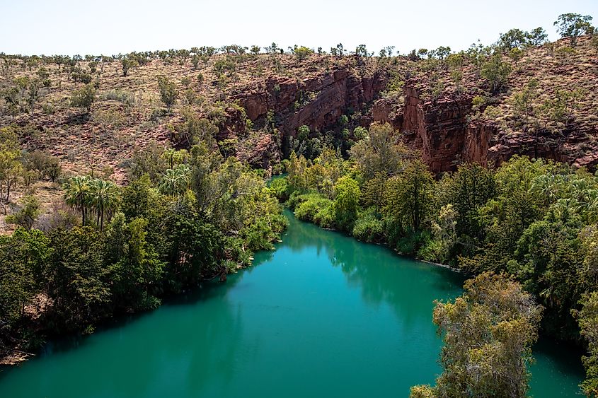 Lawn Hill Gorge, Boodjamulla National Park, Australia.