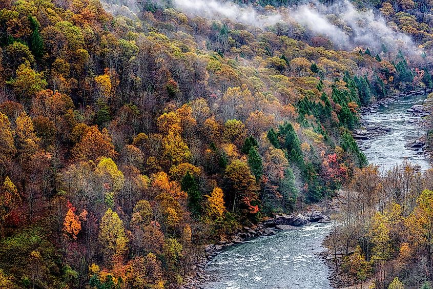 Rain and fog along Gauley River, Nicolas County, West Virginia.