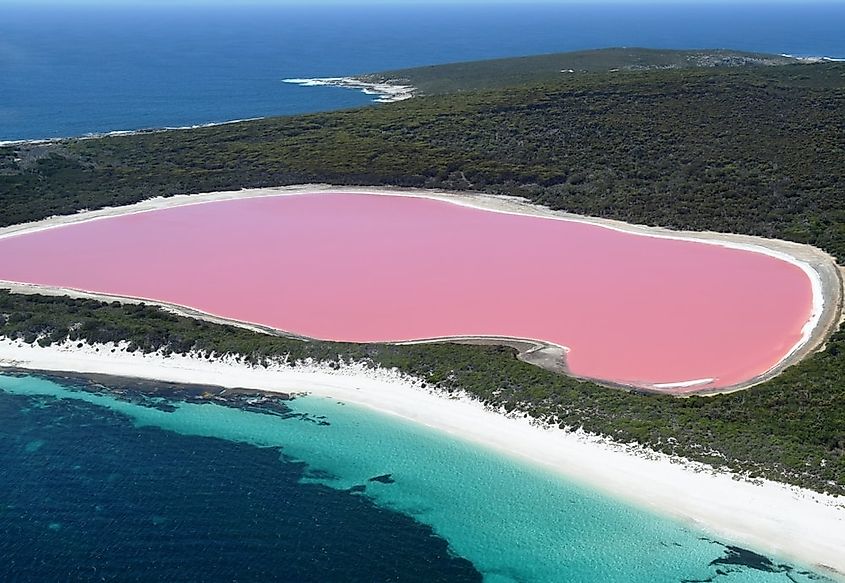 An aerial view of Lake Hillier, the bright pink lake on Middle Island, Western Australia.