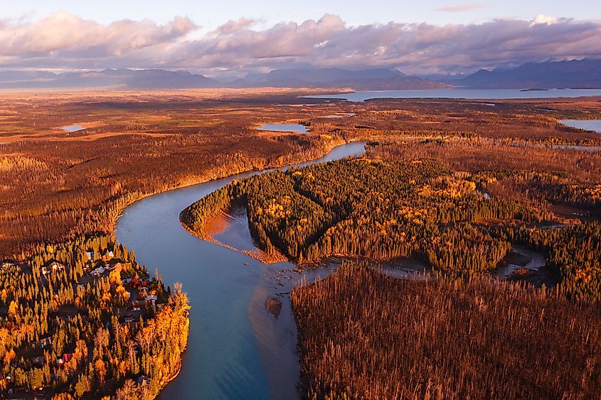 Autumn color along the Kenai River on the Kenai Peninsula