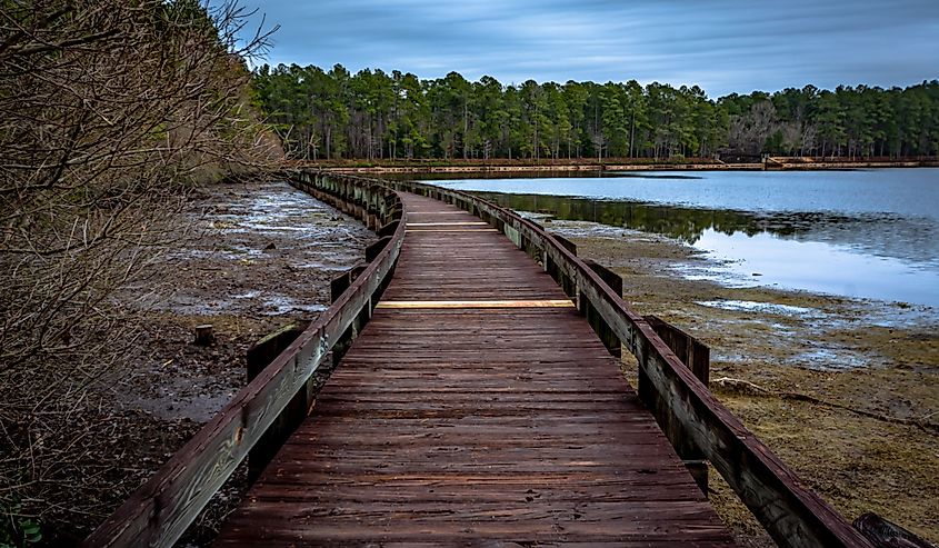 Wooden boardwalk in Cheraw State Park, South Carolina ,USA.