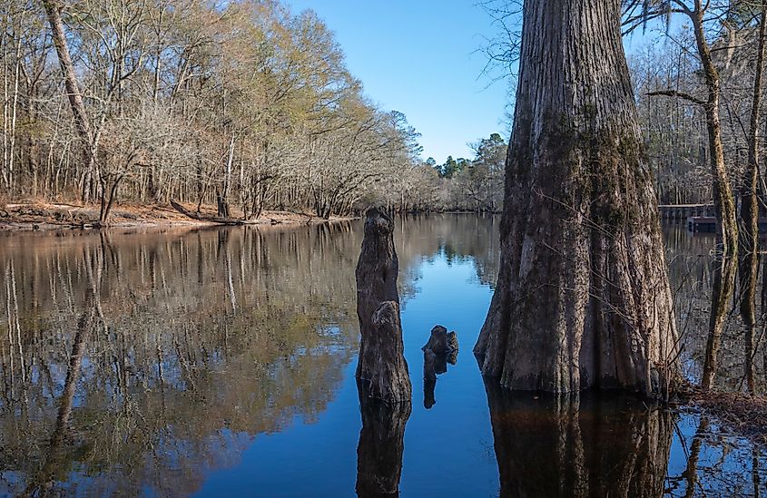 Little Pee Dee River South Carolina.
