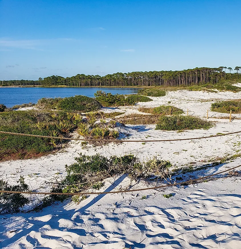 Grayton Beach State Park in Florida. 