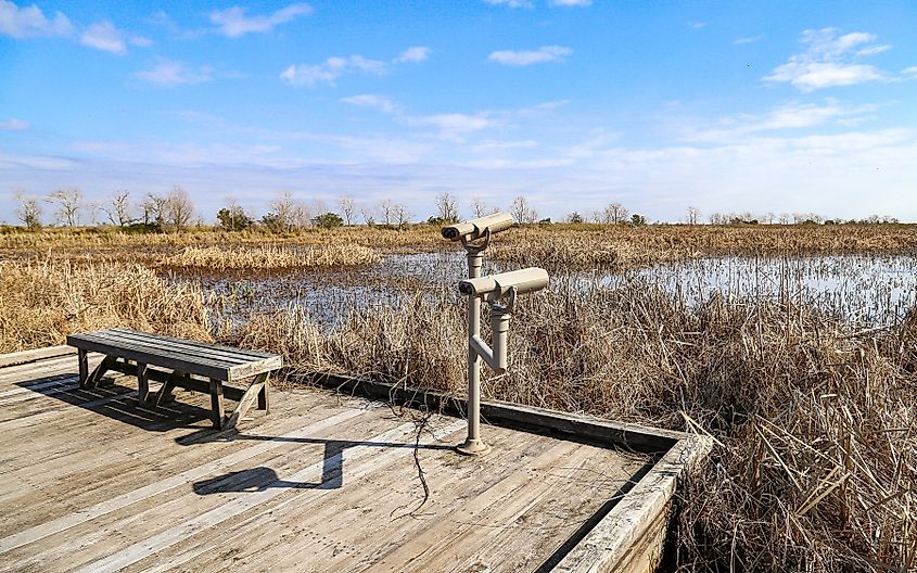 Cameron Prairie National Wildlife Refuge, Louisiana.