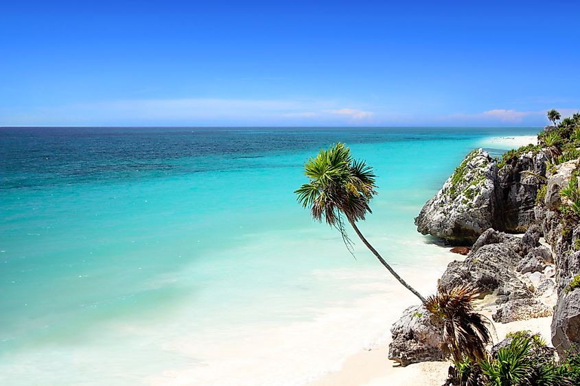 Sandy beach and shallow water along the Gulf of Mexico coast