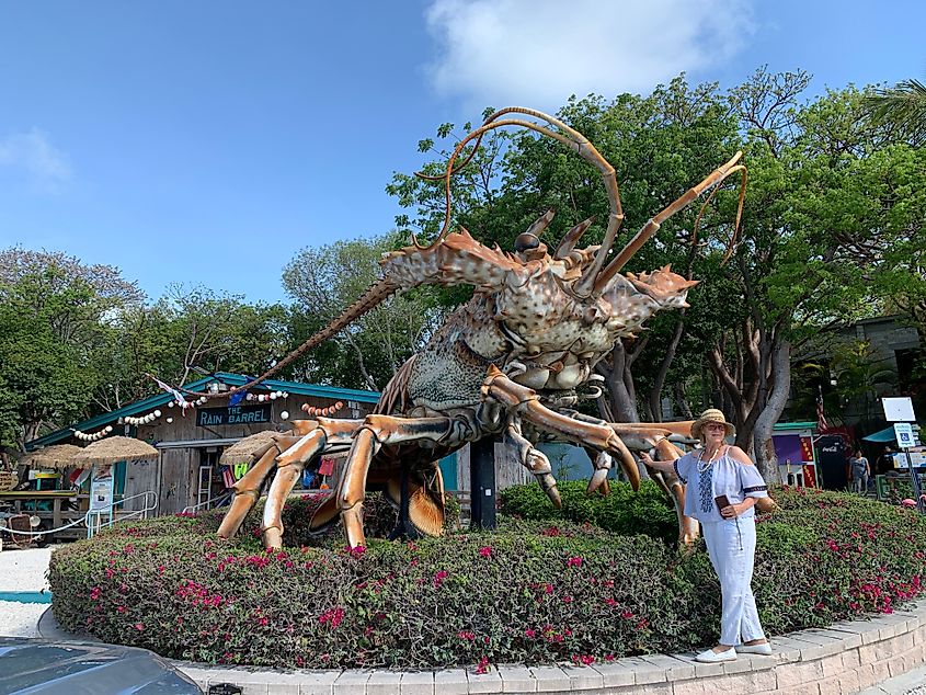 The giant sculpture of Betsy the Lobster in Islamorada, Florida