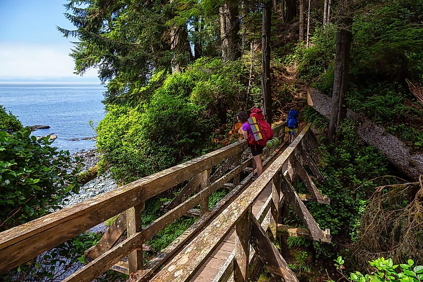 A hiker on the West Coast trail