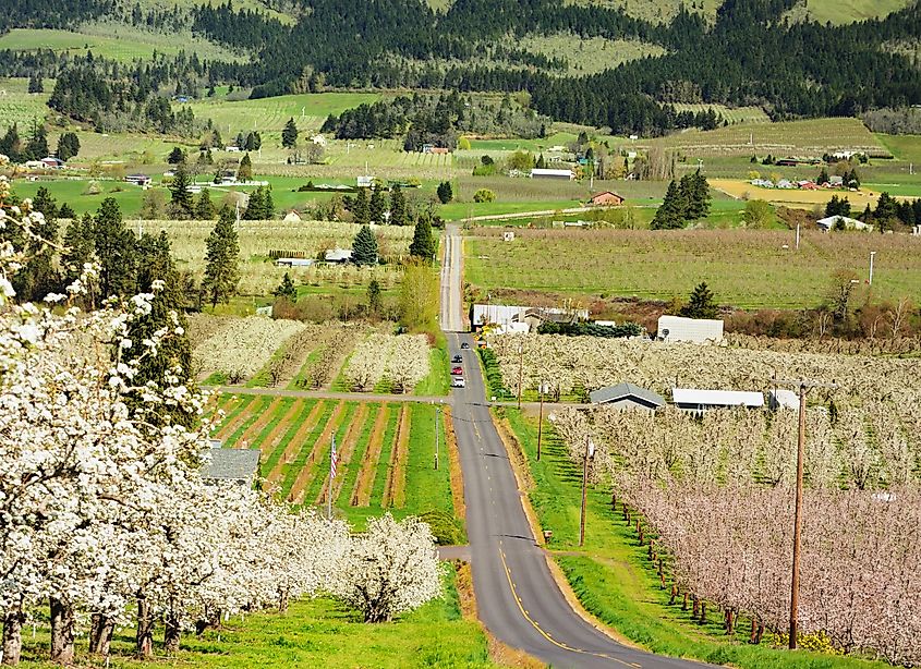 Hood River, Oregon