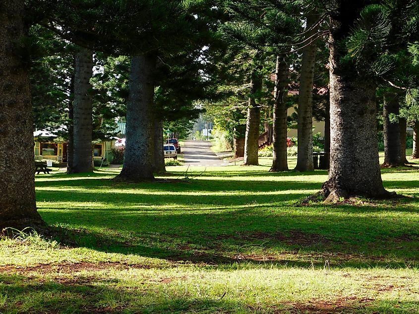 Main street in Lanai, Hawaii.