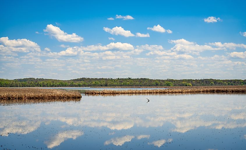 The Montezuma National Wildlife Refuge, National reserve in New York State.
