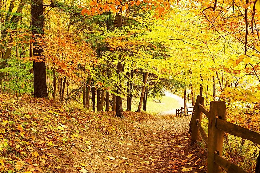 Autumn scene landscape at Letchworth State Park