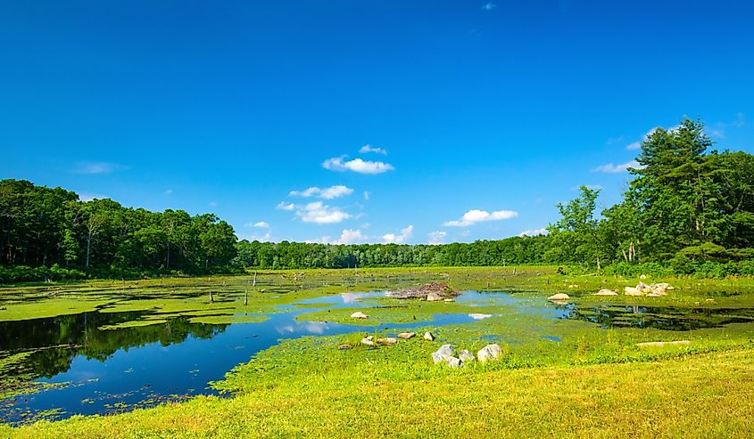 Brilliant summer day on the shores of Pine Acres Pond in the Goodwin State Forest of Chaplin, Connecticut.