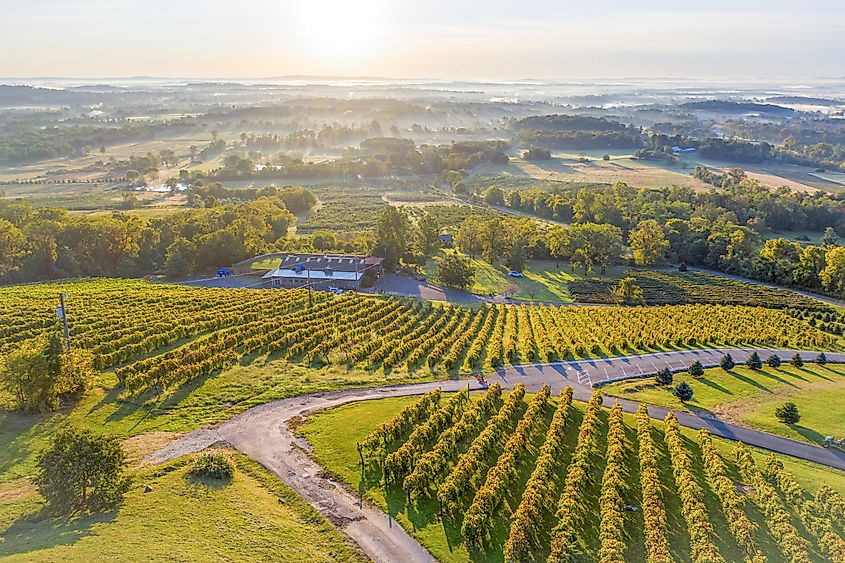 Bluemont Vineyards, located in Loudoun County, Virginia