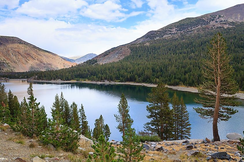 Panorama from Yosemite National Park along the Tioga Pass road, California, USA