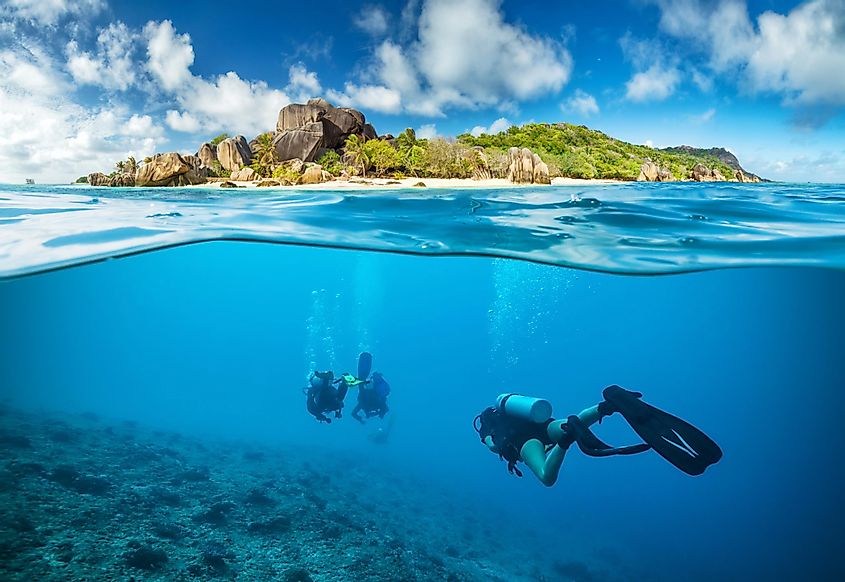 Divers Exploring Corals in the Ocean in Seychelles