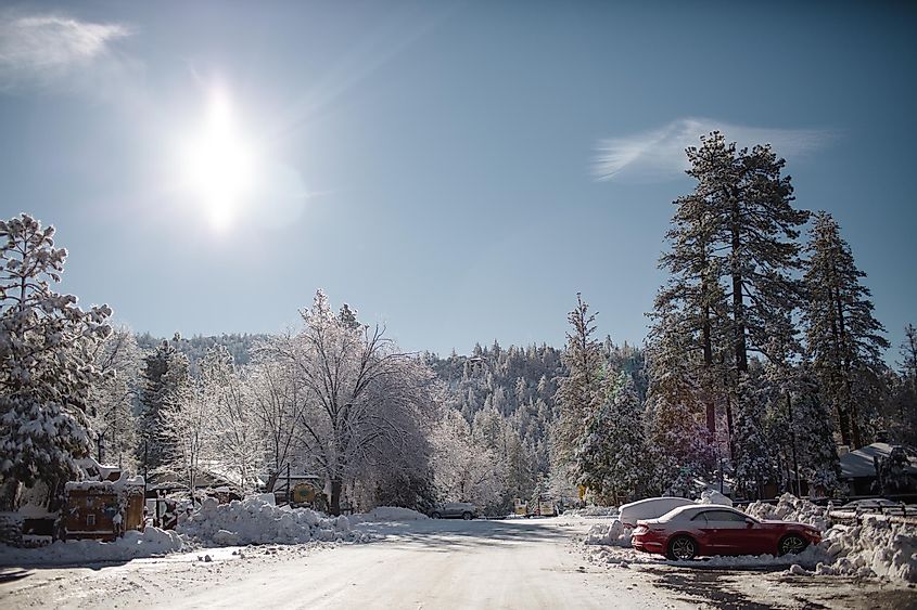 Snow Covered Street & Trees in Idyllwild in Idyllwild-Pine Cove, California