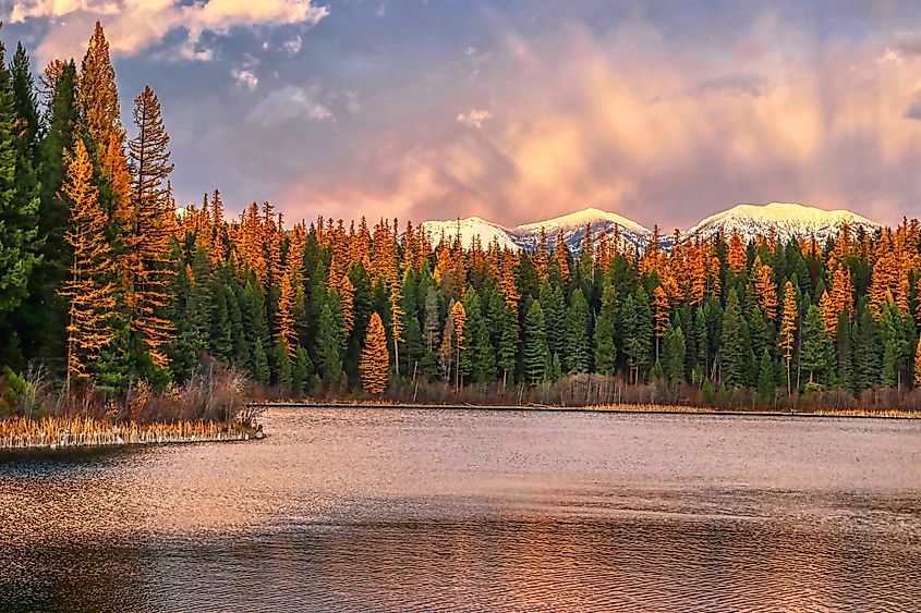 Whitefish, Montana, landscape mountains.