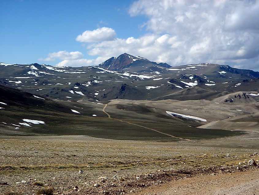 White Mountain, California. Credit: JonathanLamb (talk · contribs), CC BY 3.0 <https://creativecommons.org/licenses/by/3.0>, via Wikimedia Commons