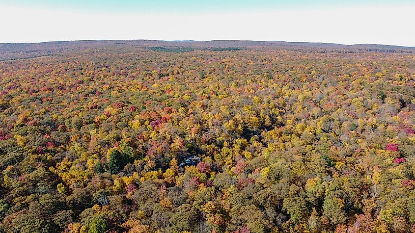 Fall colors at the Linn Run State Park, Pennsylvania.