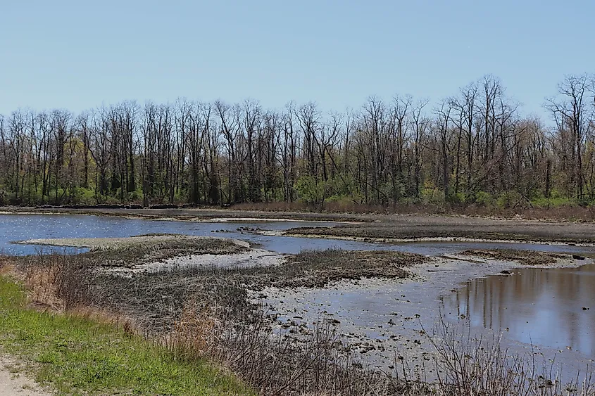 Tidal marsh at Colt State Park in Bristol, Rhode Island