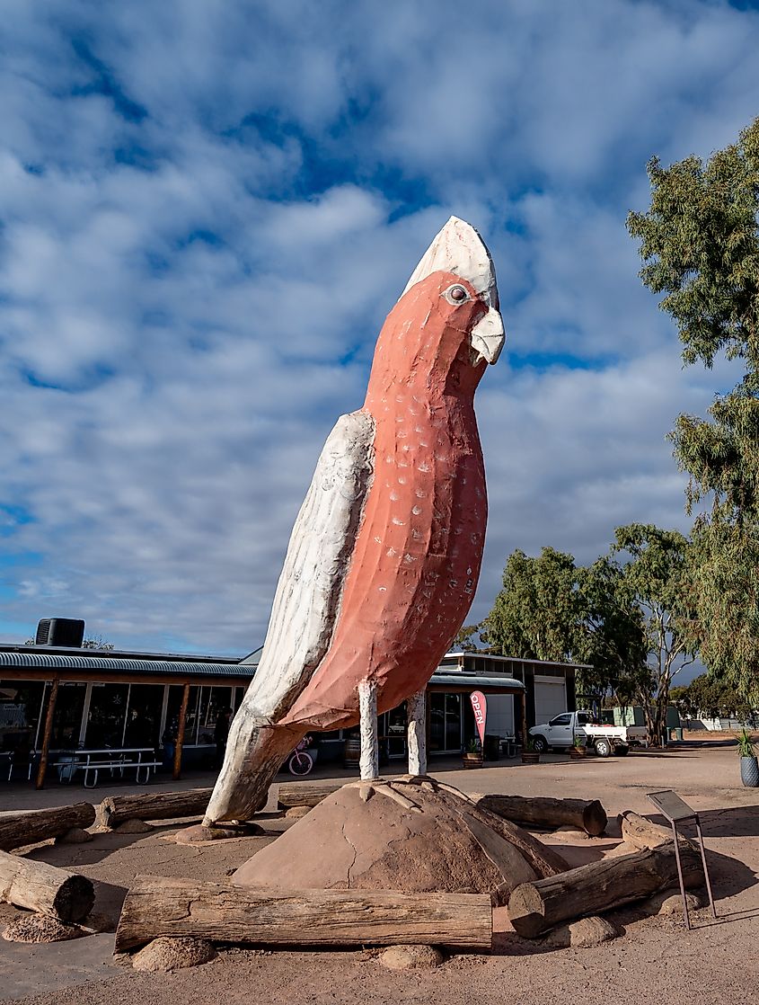 The Big Galah in Kimba marks the half way across Australia point.
