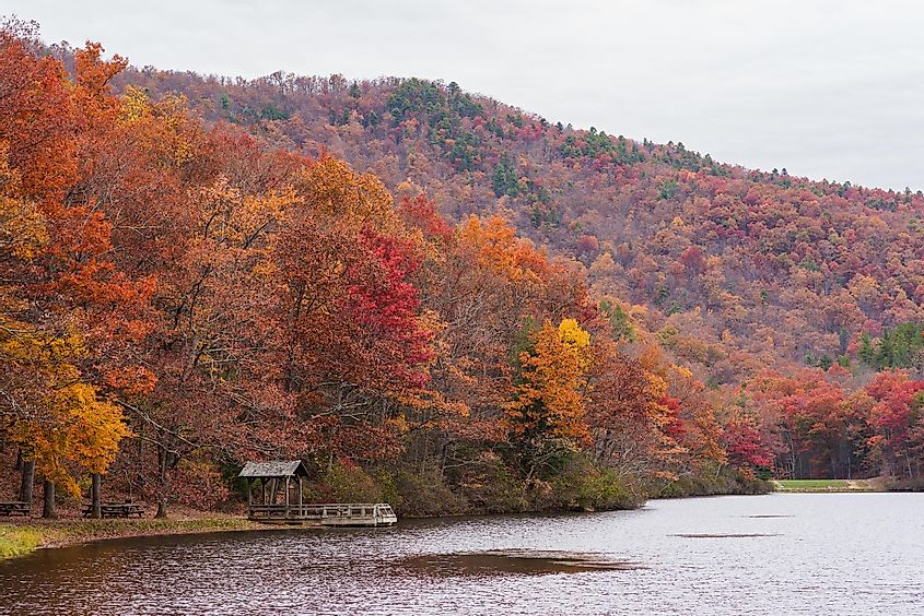 A riot of fall colors in the Sherando Lake Recreation Area, Virginia.