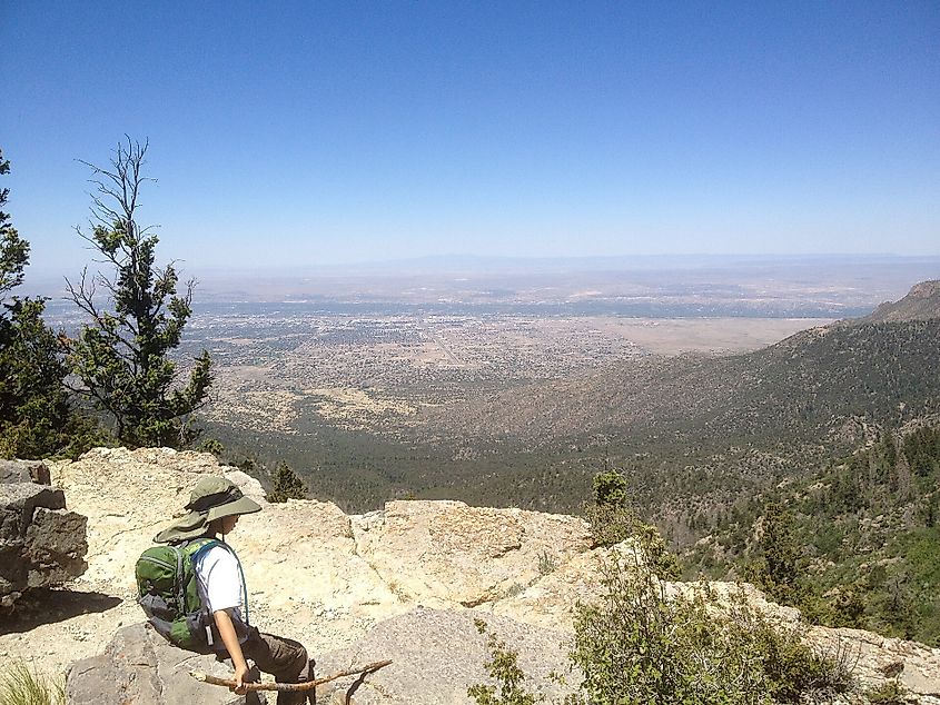 Cienega Trail in the Sandia Mountains.
