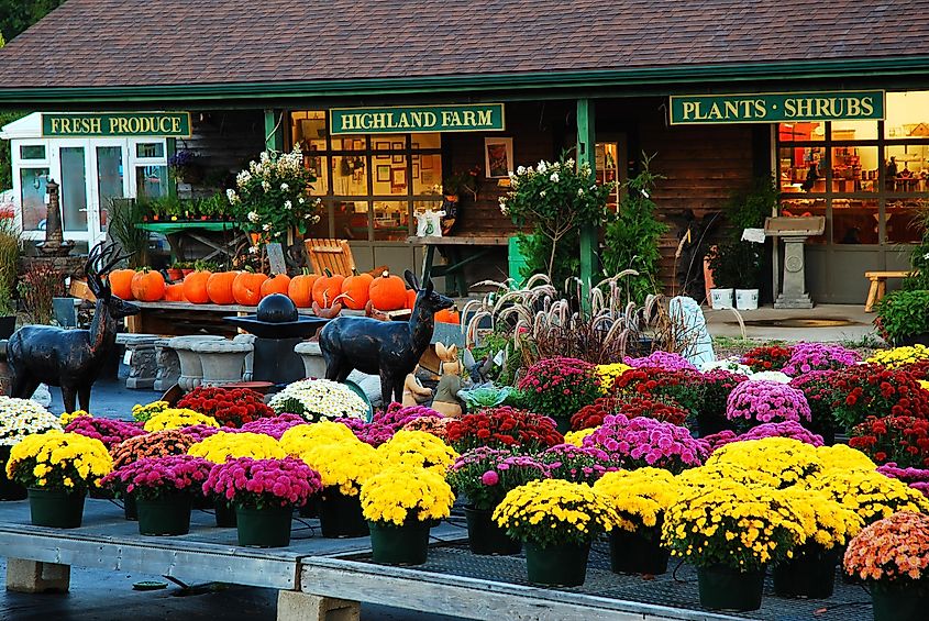 A outdoor and garden shop in North Kingston, Rhode Island. Editorial credit: James Kirkikis / Shutterstock.com