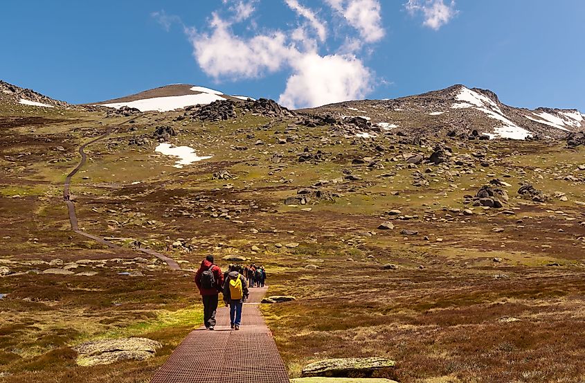Hiking in Thredbo, New South Wales, Australia