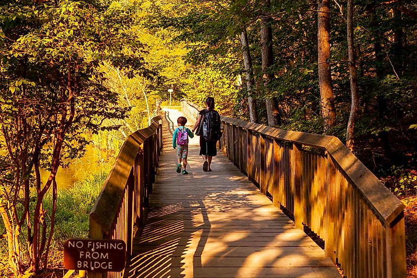 A mother and her little daughter are hiking together on a wooden bridge over swamp in Calvert Cliffs State Park in Maryland