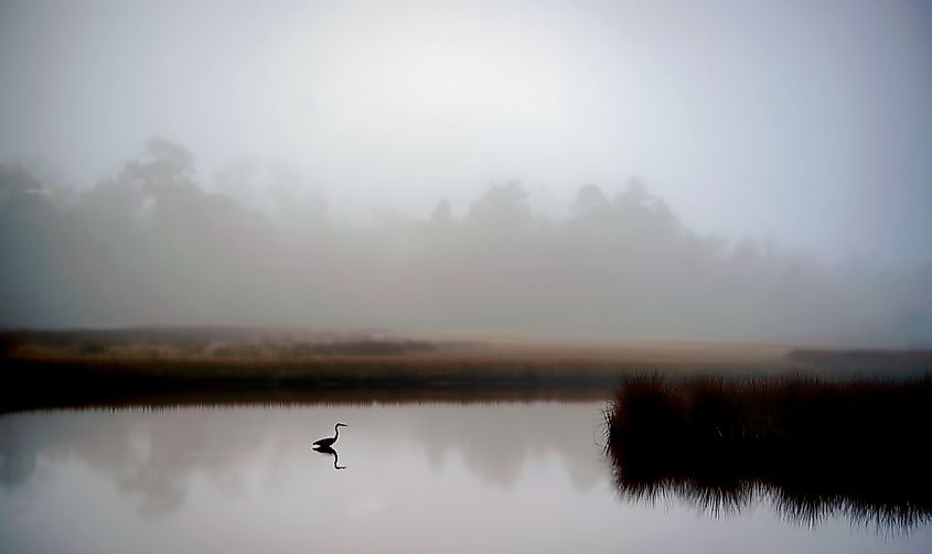 Davis Bayou, Gulf Islands National Seashore, Mississippi. 