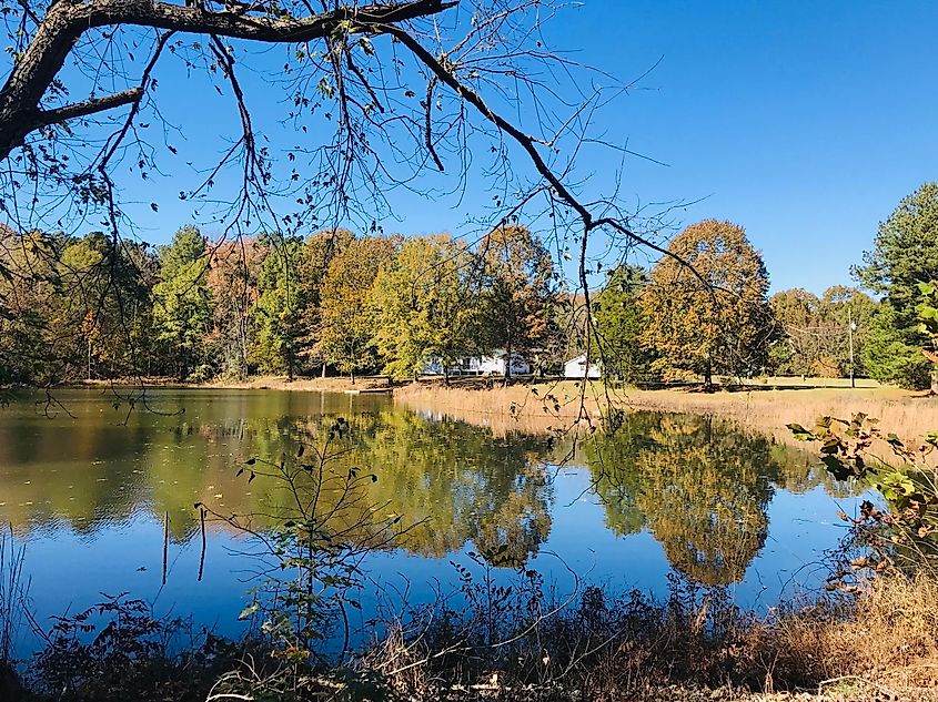 Bright Blue Sky Over Lake and Trees Landscape Hartselle Alabama USA