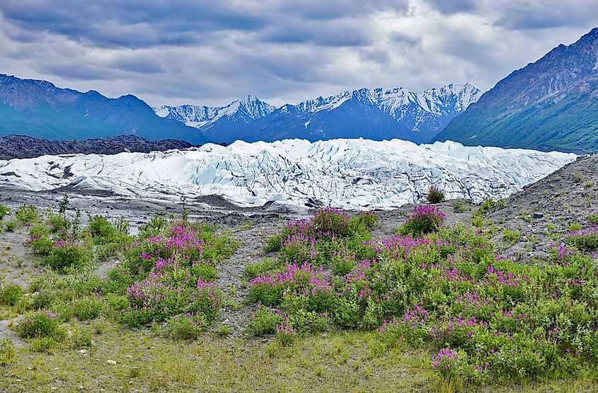 The Matanuska Glacier in Alaska