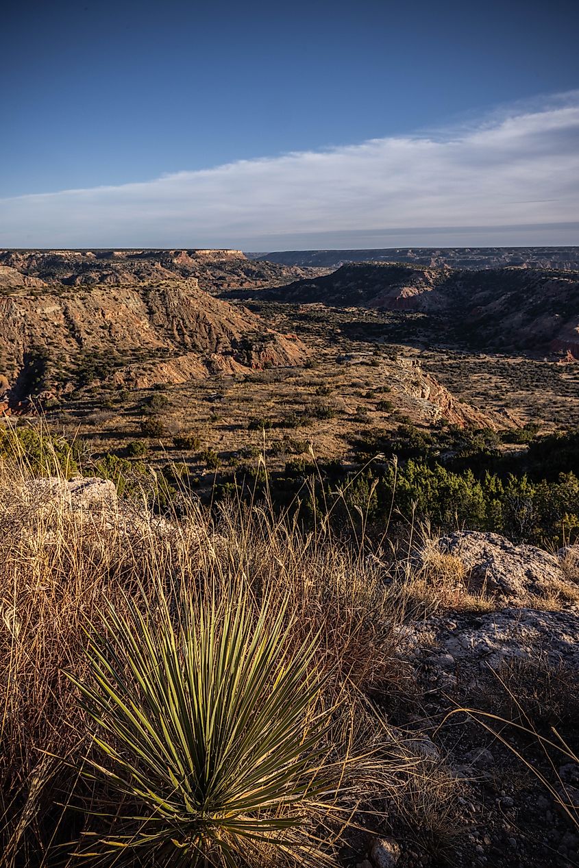 A viewpoint on the edge of Palo Duro Canyon. Photo credits: Brendan Cane