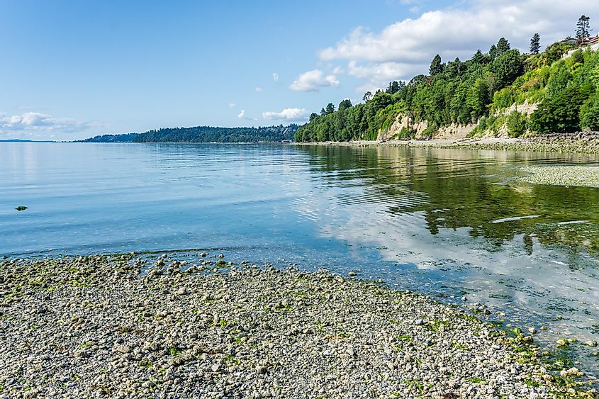 A view of the shoreline at Saltwater State Park in Des Moines, Washington.