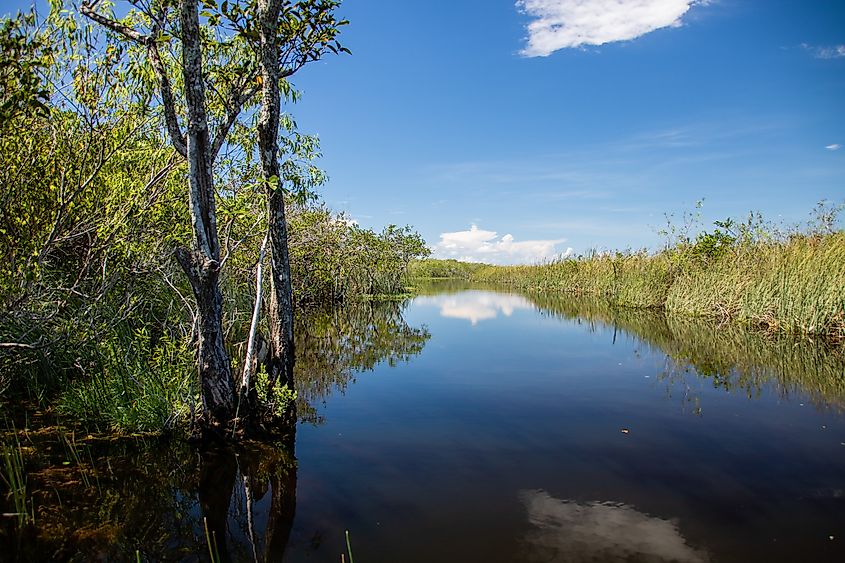 Endless view, Everglades National Park.