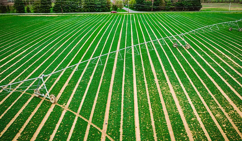 Farmland in Cranbury, New Jersey.