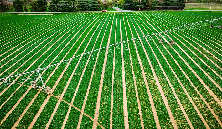 Abstract Farmland in Cranbury, New Jersey