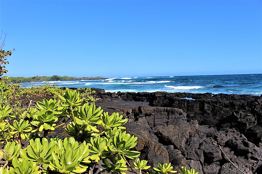 View of the blue Pacific Ocean from the jagged volcanic shoreline at Whittington Beach Park in Na'alehu, on the Big Island of Hawaii in the Ka'u District