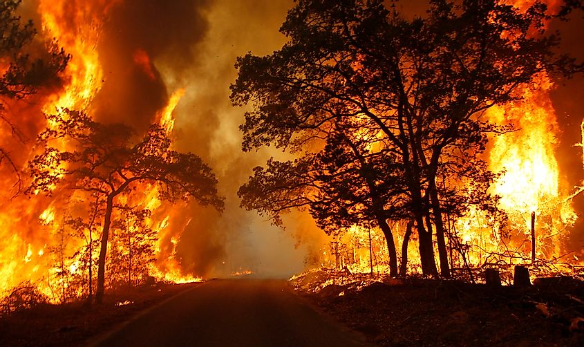 texas wildfire