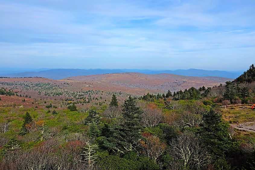 The Mount Rogers National Recreation Area near Sugar Grove, Virginia.