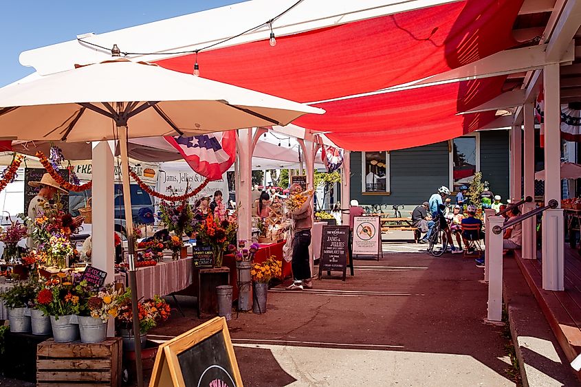 Point Reyes seasonal Farmers Market outside Toby's Feed Barn in Point Reyes Station
