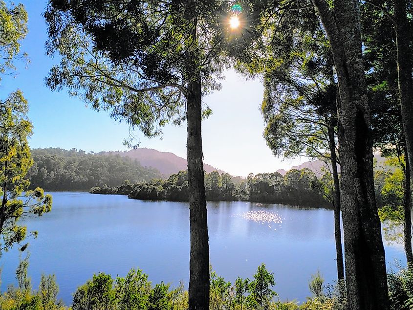 Lake Rosebery at Tullah, Tasmania.