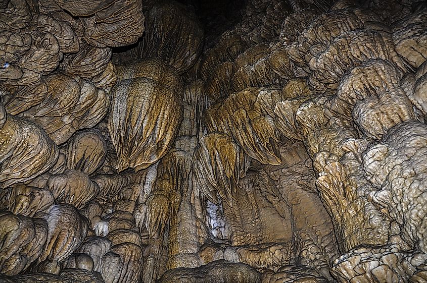 Formations on the cave walls at the Oregon National Caves Monument.