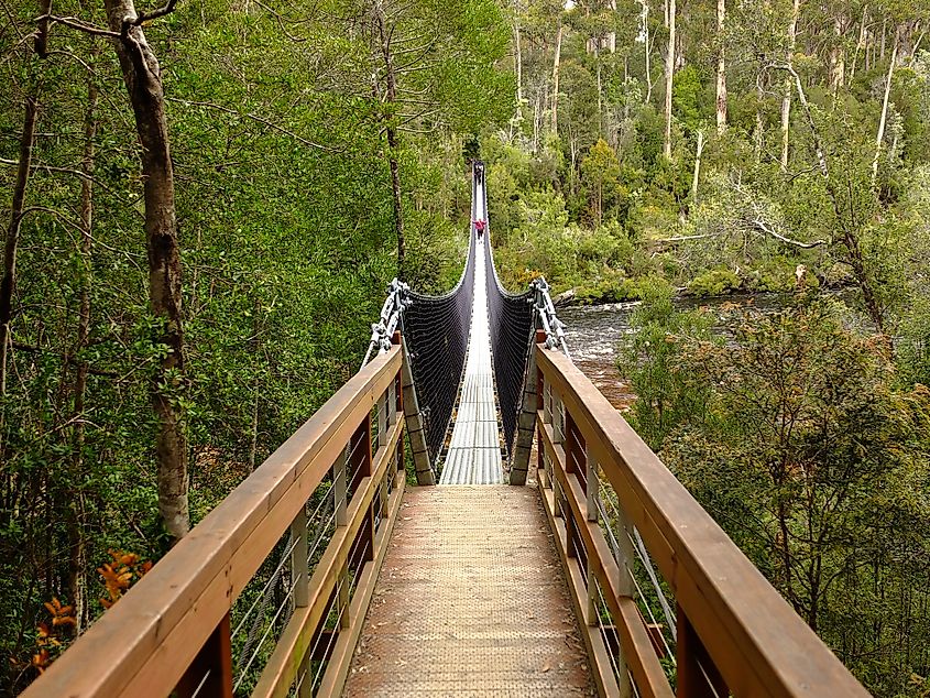 Tahune Airwalk in Tahune Forest Reserve in Tasmania, Australia.