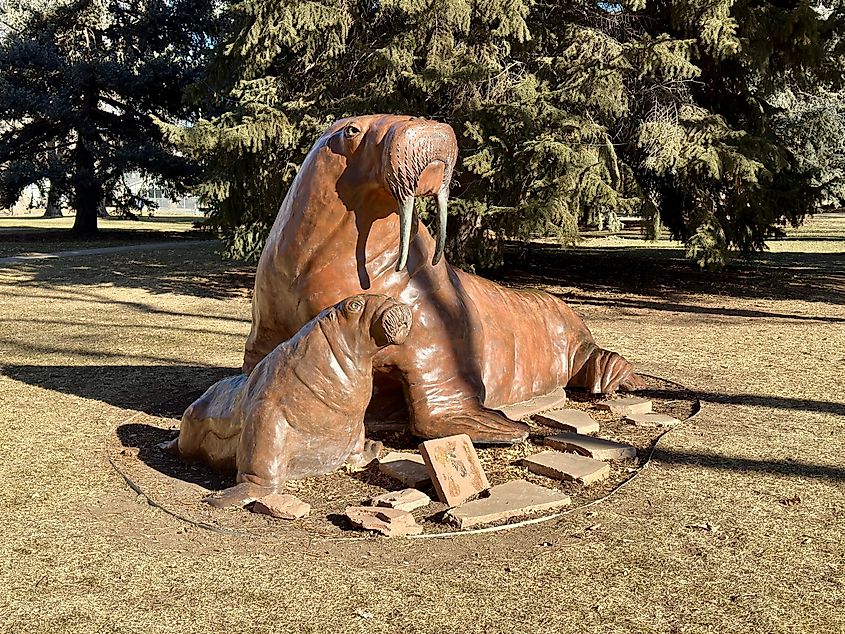 Walrus statue in Fickel Park in Berthoud, Colorado