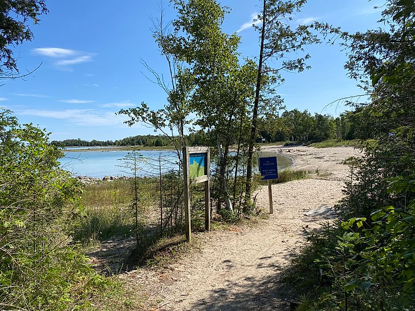 A forest trail opens to a curved sandy beach.