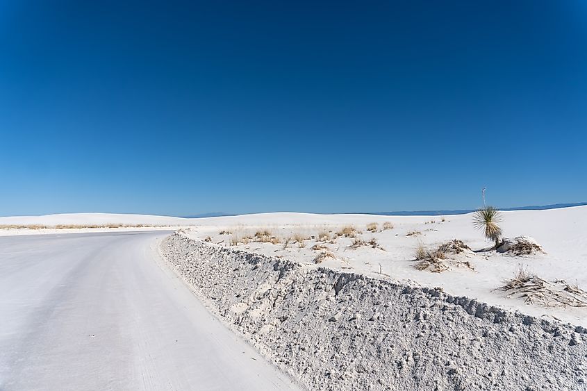Dune Drive, a plowed smooth gypsum sand road.