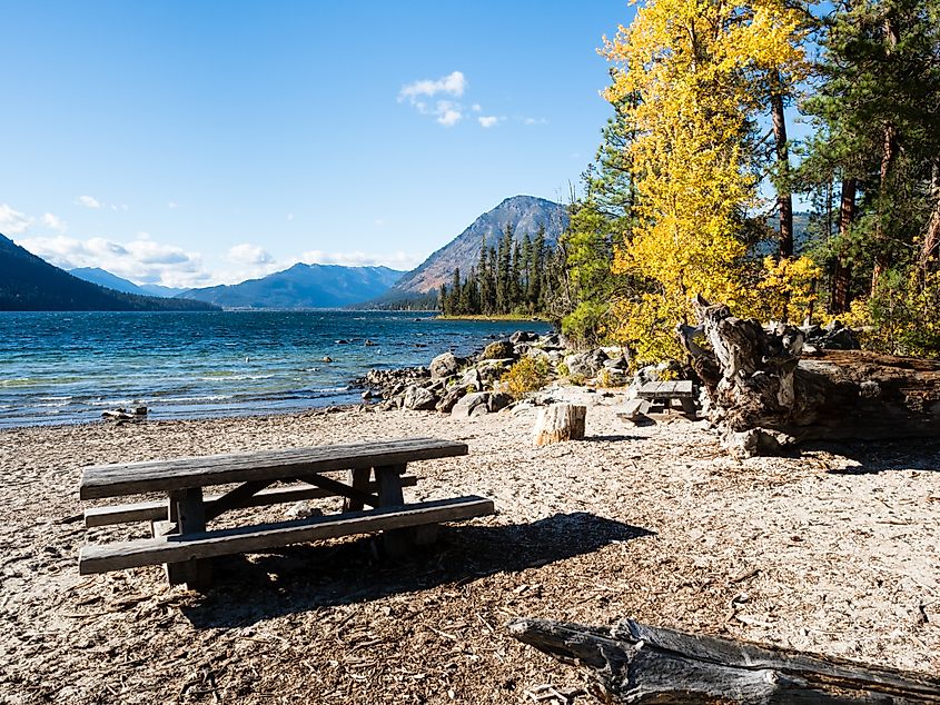 Fall foliage on the banks of Lake Wenatchee, Washington.