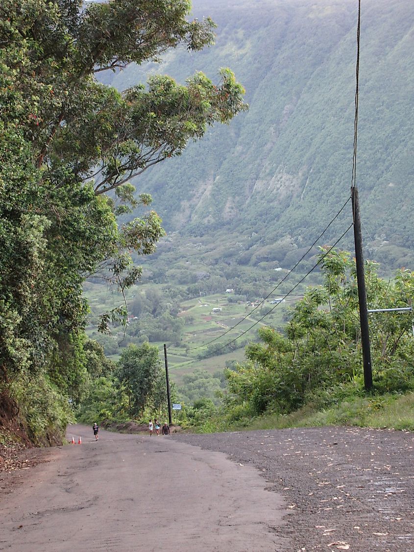 A sliver of the Waipiʻo Valley from the access road, which features a 25% grade. 
